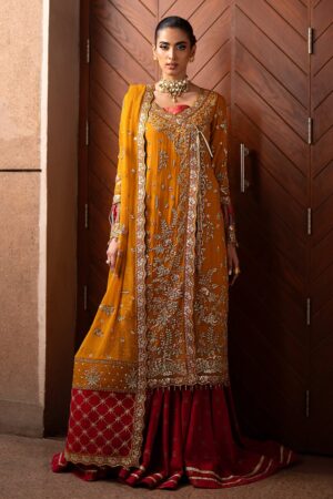 Emaan Adeel Solene Casabella Embroidered Chiffon