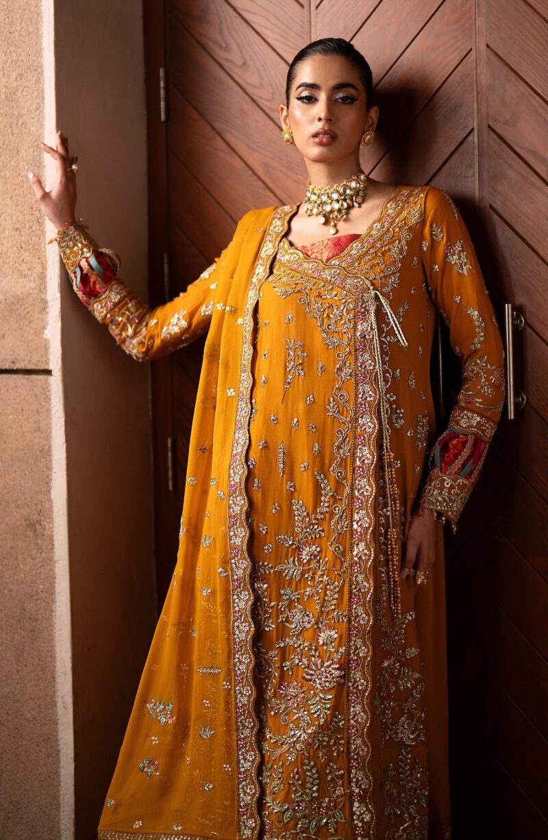 Emaan Adeel Solene Casabella Embroidered Chiffon