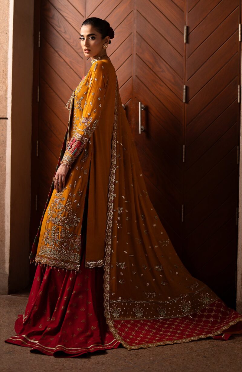 Emaan Adeel Solene Casabella Embroidered Chiffon