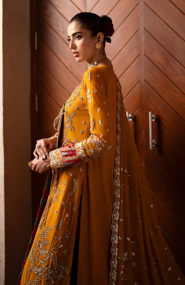 Emaan Adeel Solene Casabella Embroidered Chiffon