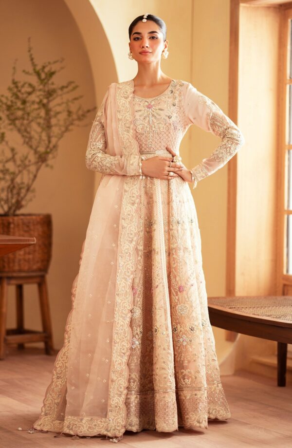 Emaan Adeel Faatin Romansiyyah Embroidered Organza