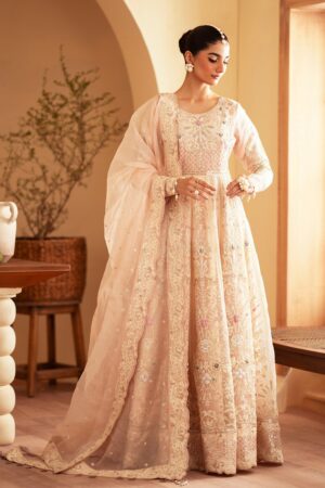 Emaan Adeel Faatin Romansiyyah Embroidered Organza