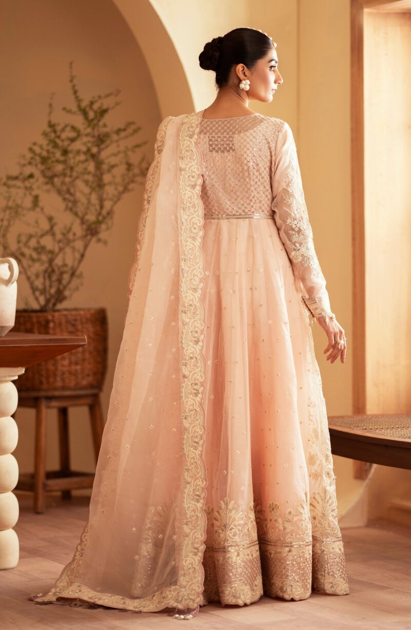 Emaan Adeel Faatin Romansiyyah Embroidered Organza