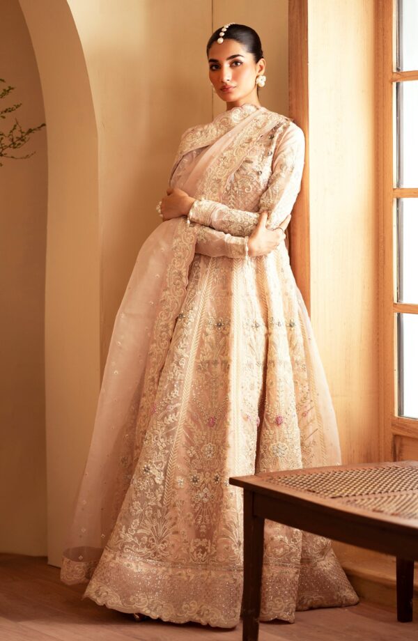 Emaan Adeel Faatin Romansiyyah Embroidered Organza