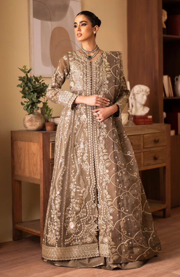 Emaan Adeel Yesra Romansiyyah Embroidered Organza