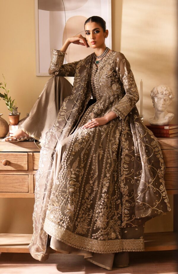 Emaan Adeel Yesra Romansiyyah Embroidered Organza