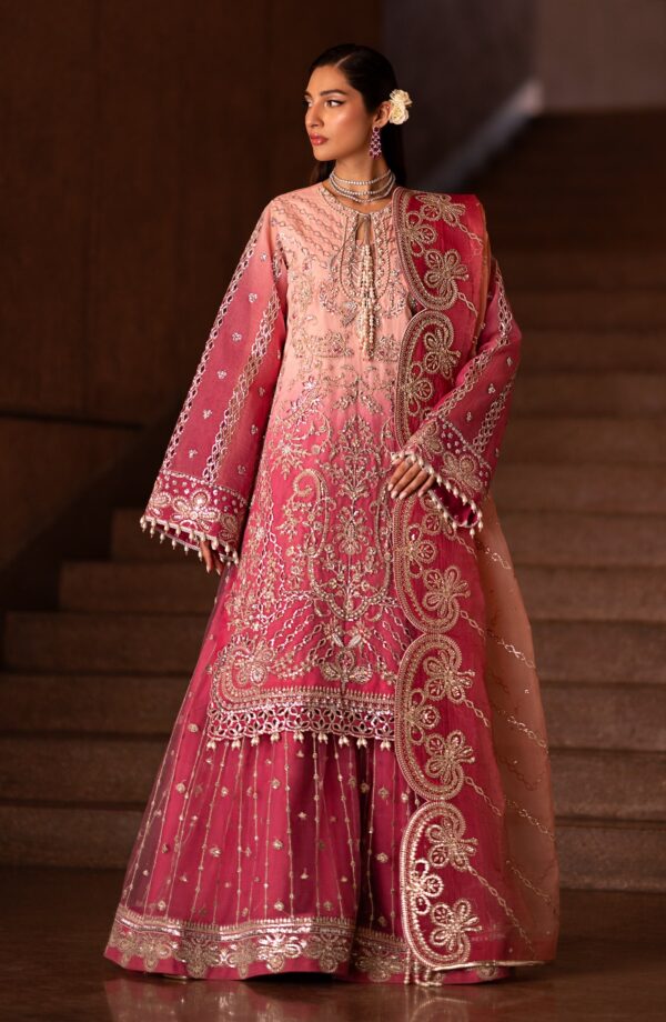 Emaan Adeel Auset Casabella Embroidered Organza