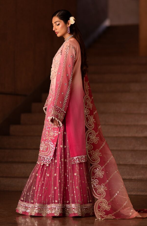 Emaan Adeel Auset Casabella Embroidered Organza