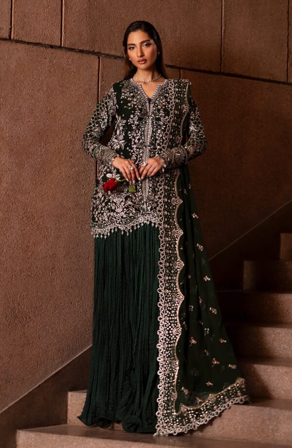 Emaan Adeel Arista Casabella Embroidered Chiffon