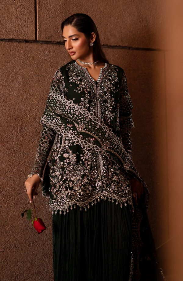 Emaan Adeel Arista Casabella Embroidered Chiffon