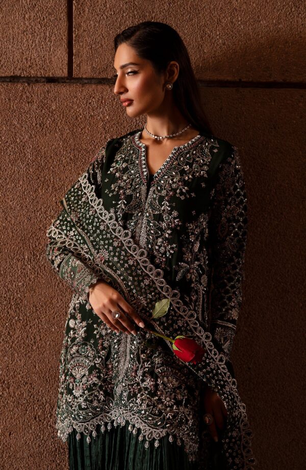 Emaan Adeel Arista Casabella Embroidered Chiffon