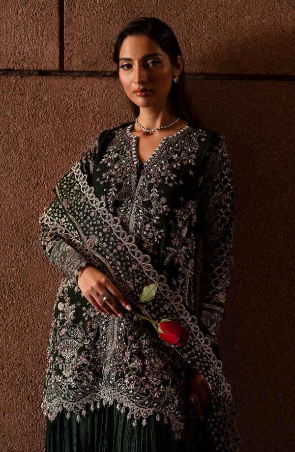 Emaan Adeel Arista Casabella Embroidered Chiffon