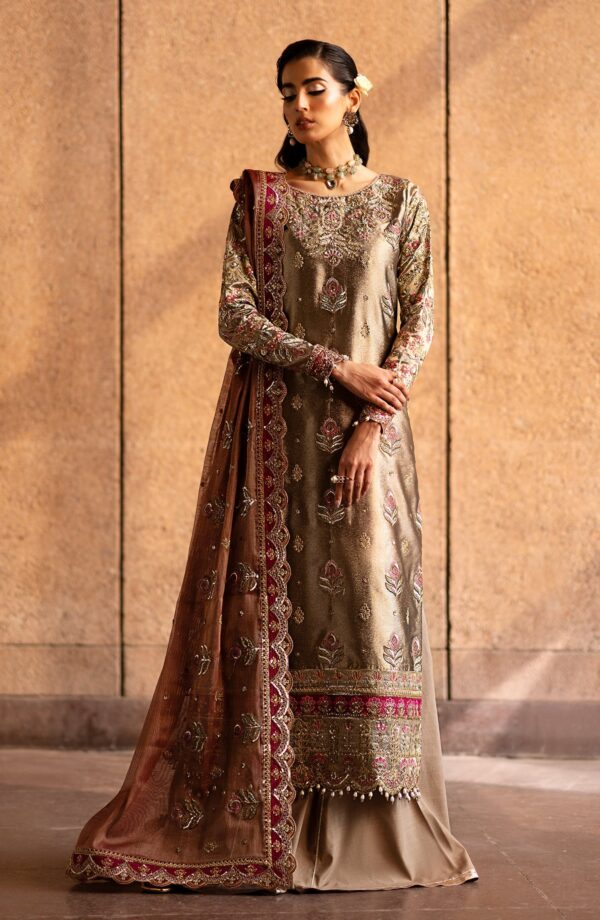 Emaan Adeel Felisa Casabella Embroidered Mesoury