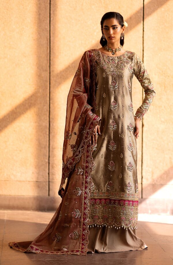 Emaan Adeel Felisa Casabella Embroidered Mesoury