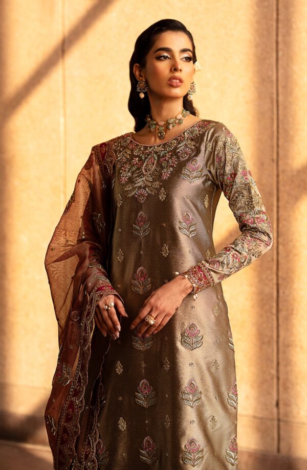 Emaan Adeel Felisa Casabella Embroidered Mesoury