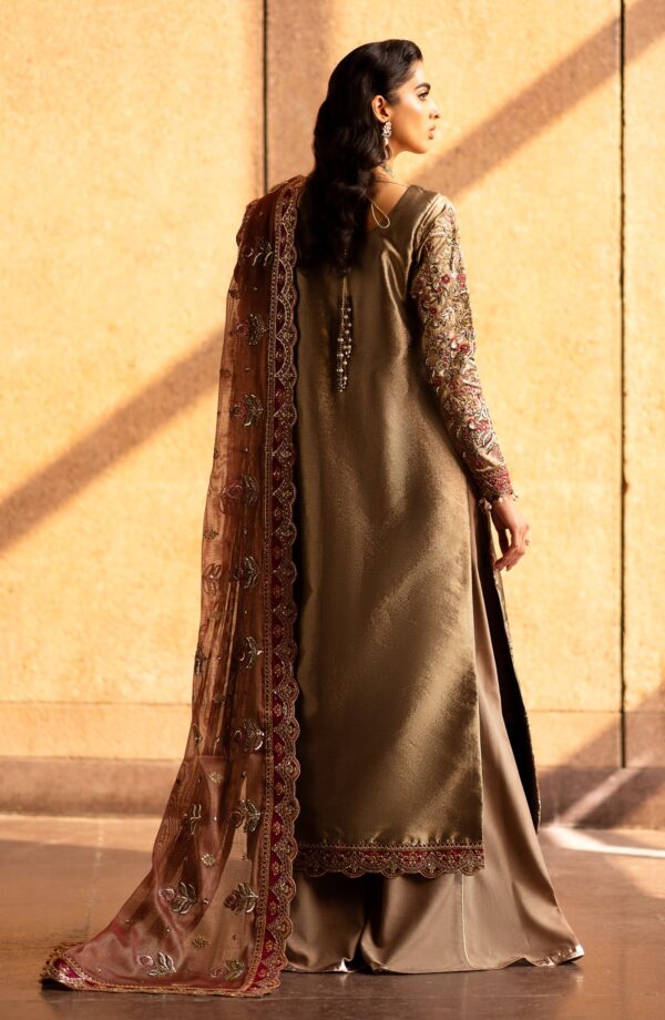 Emaan Adeel Felisa Casabella Embroidered Mesoury