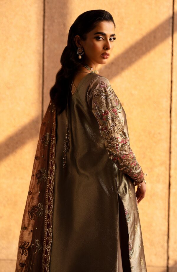 Emaan Adeel Felisa Casabella Embroidered Mesoury