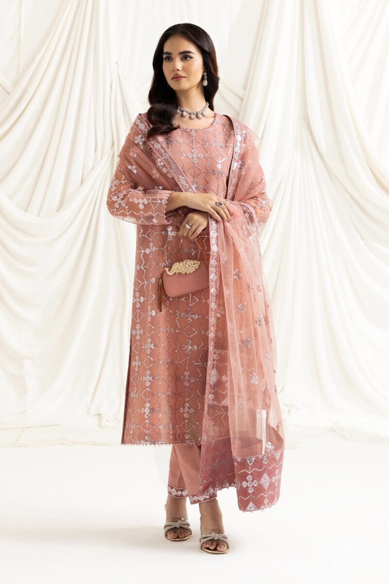 Alizeh Fashion Dua-V02D04B Dua Embroidered Net