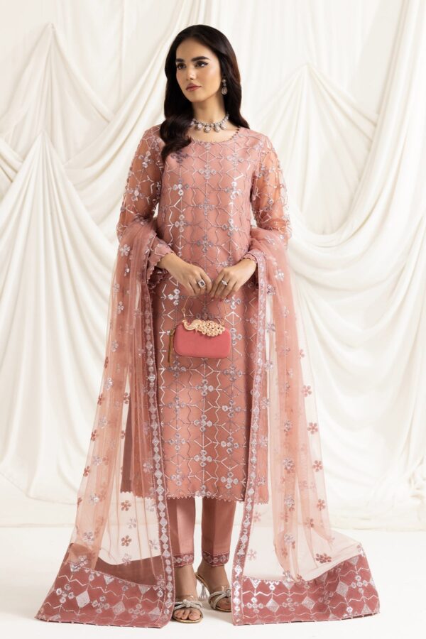 Alizeh Fashion Dua-V02D04B Dua Embroidered Net