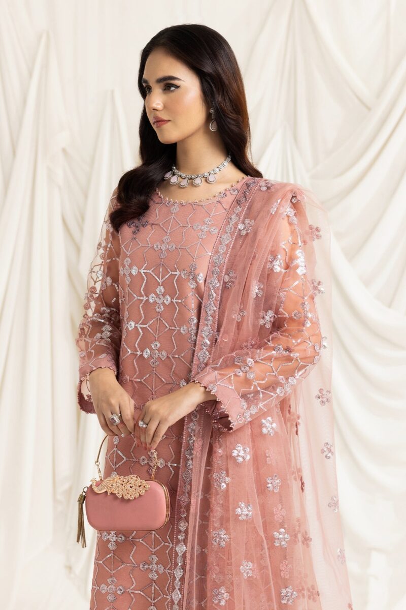 Alizeh Fashion Dua-V02D04B Dua Embroidered Net