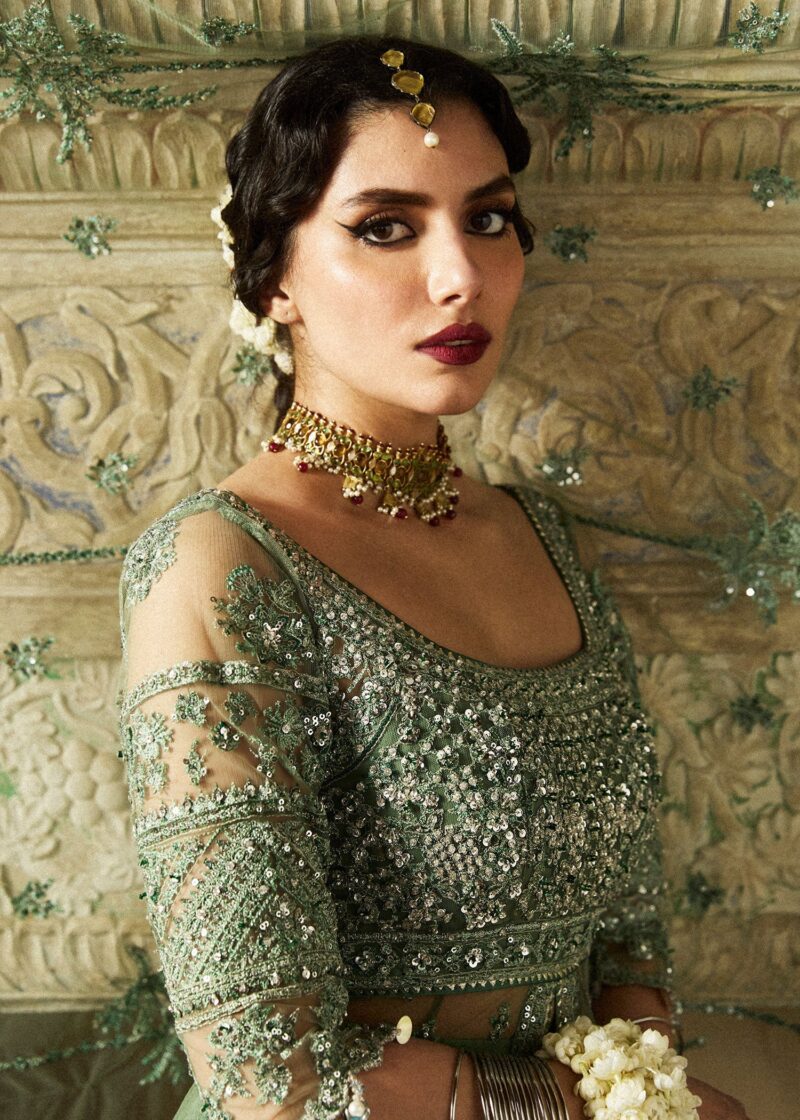 Hussain Rehar Festive Embroidered Net Dress