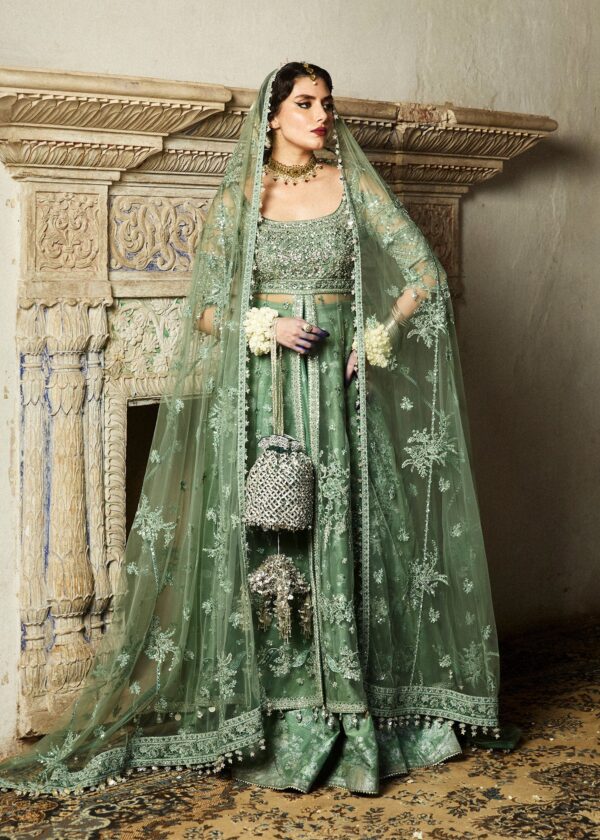 Hussain Rehar Festive Embroidered Net Dress