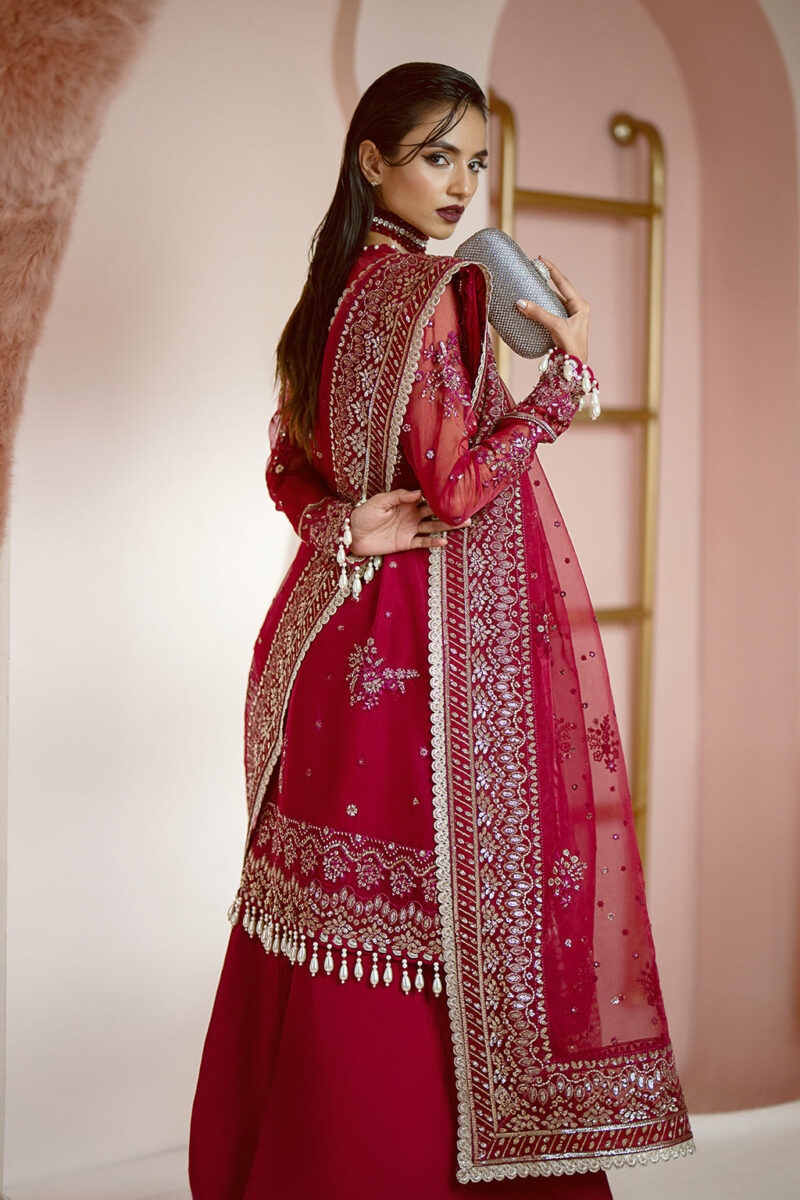 Ayzel Awf-03 Ruby Luminara Embroidered Organza