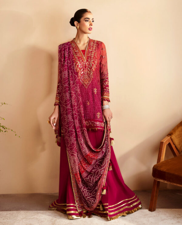 Xenia Rul-24-01 Arisa Raahi Embroidered Chiffon