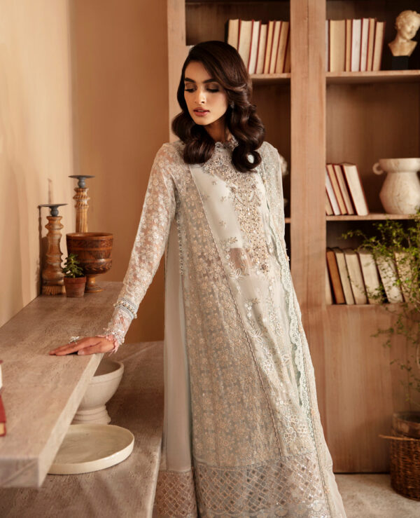 Xenia Rul-24-04 Sylvan Raahi Embroidered Chiffon