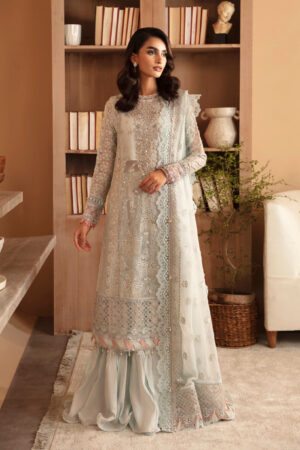 Xenia Rul-24-04 Sylvan Raahi Embroidered Chiffon