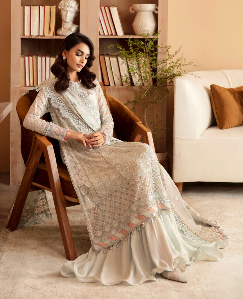 Xenia Rul-24-04 Sylvan Raahi Embroidered Chiffon