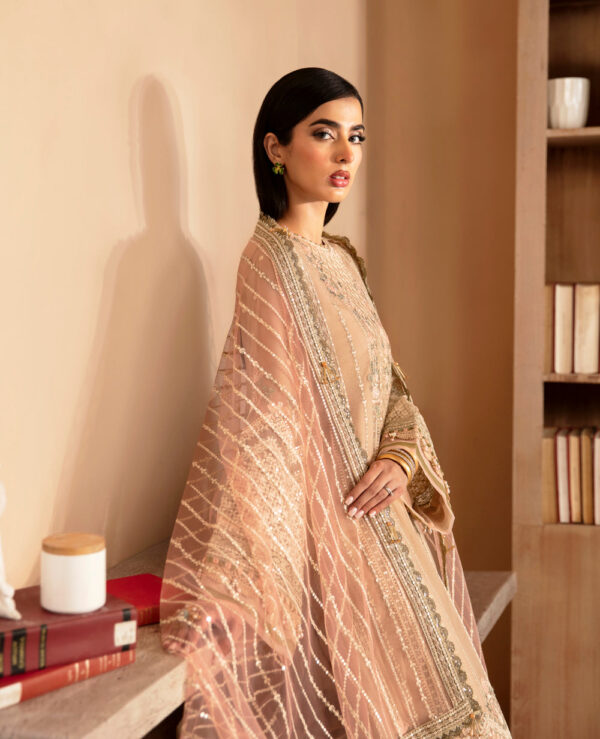 Xenia Rul-24-05 Toyam Raahi Embroidered Chiffon