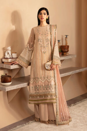 Xenia Rul-24-05 Toyam Raahi Embroidered Chiffon