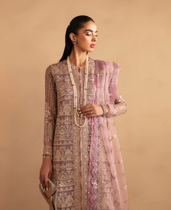 Xenia Rul-24-08 Avasa Raahi Embroidered Chiffon