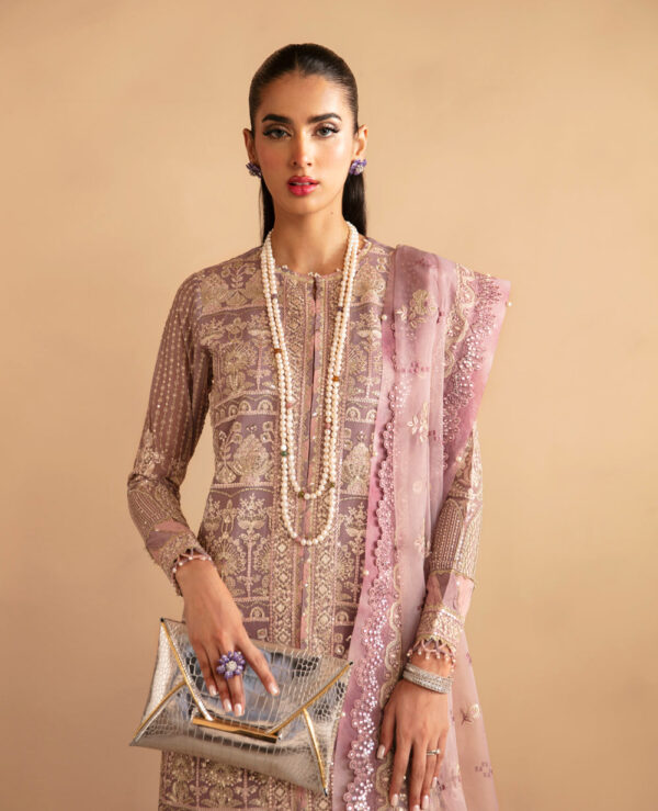 Xenia Rul-24-08 Avasa Raahi Embroidered Chiffon