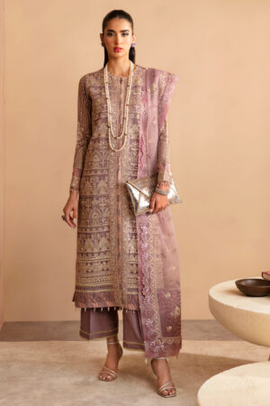 Xenia Rul-24-08 Avasa Raahi Embroidered Chiffon