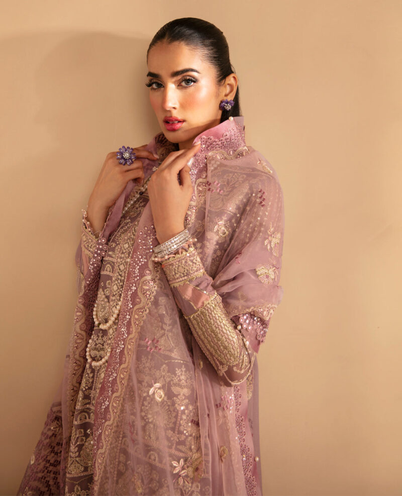 Xenia Rul-24-08 Avasa Raahi Embroidered Chiffon