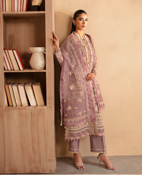 Xenia Rul-24-08 Avasa Raahi Embroidered Chiffon