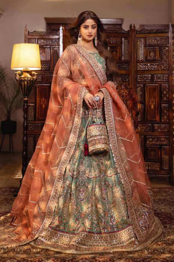 Serene Premium Sb-26 Raqs Sajal Embroidered Organza