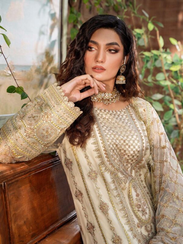 Akbar Aslam Mehrunisa Mastani Embroidered Net