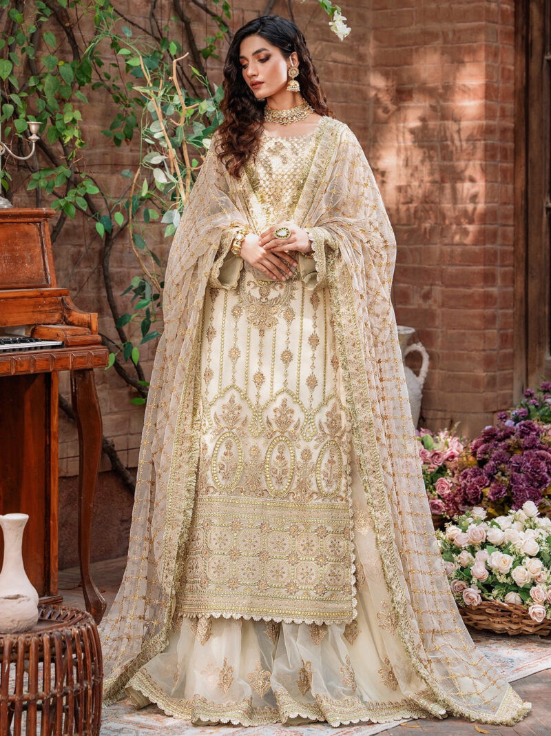 Akbar Aslam Mehrunisa Mastani Embroidered Net