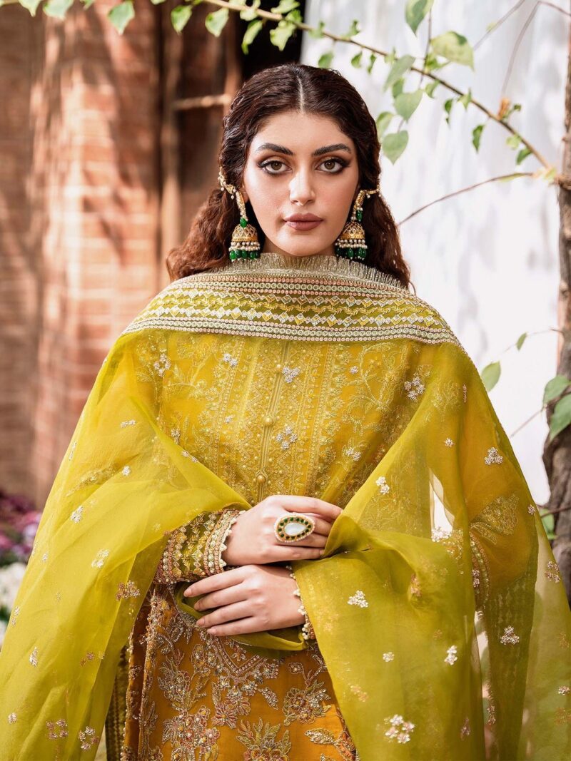 Akbar Aslam Rohi Mastani Embroidered Organza