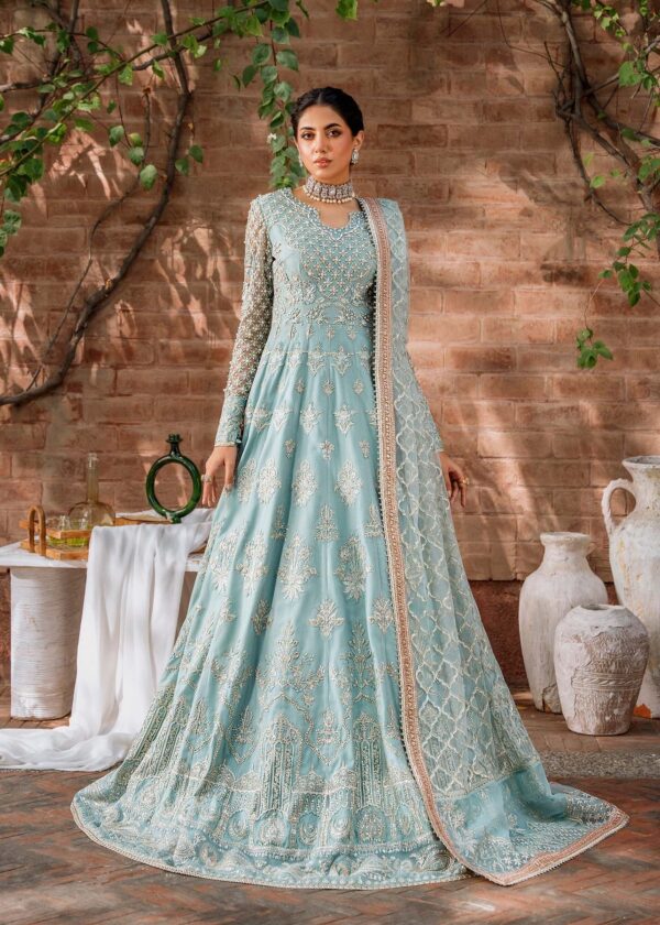 Akbar Aslam Jabeen Mastani Embroidered Net