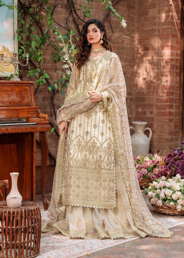 Akbar Aslam Mehrunisa Mastani Embroidered Net