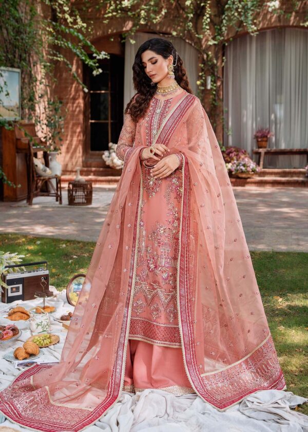 Akbar Aslam Mehrbano Mastani Embroidered Organza