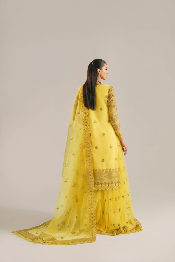 Akbar Aslam Hareem Afsana Embroidered Organza