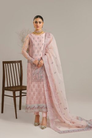 Akbar Aslam Niloufer Afsana Embroidered Organza