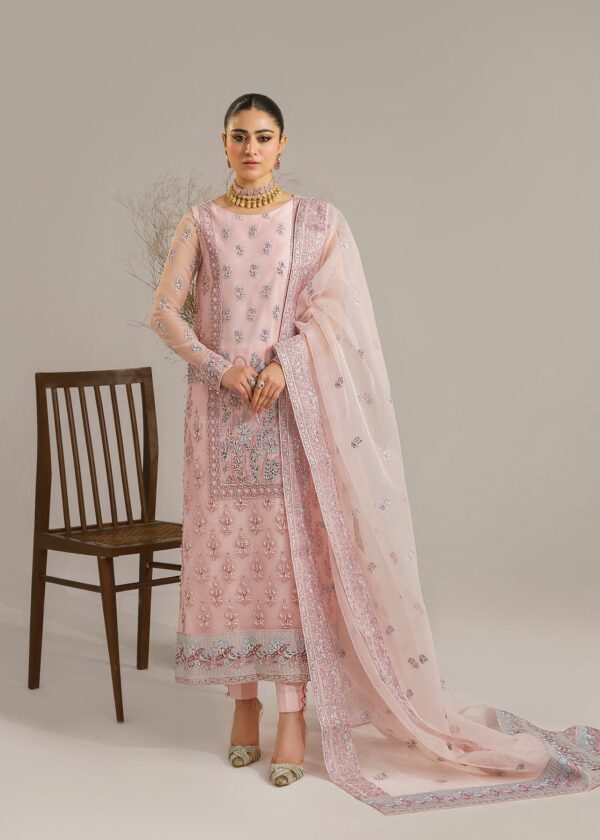 Akbar Aslam Niloufer Afsana Embroidered Organza