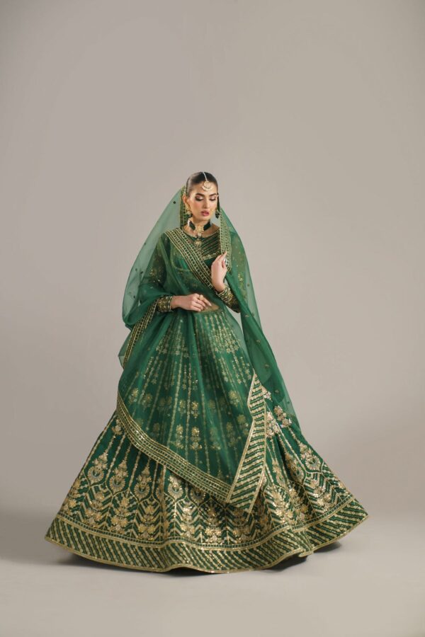 Akbar Aslam Shahul Afsana Embroidered Organza