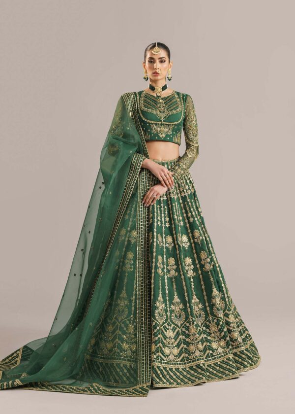 Akbar Aslam Shahul Afsana Embroidered Organza